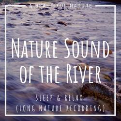 Nature Sound of the River: Sleep & Relax (Long Nature Recording)