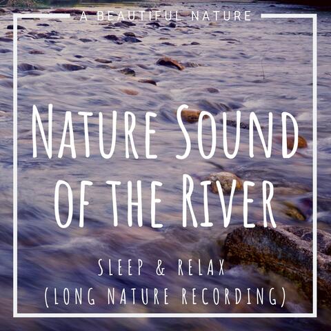 Nature Sound of the River: Sleep & Relax (Long Nature Recording)