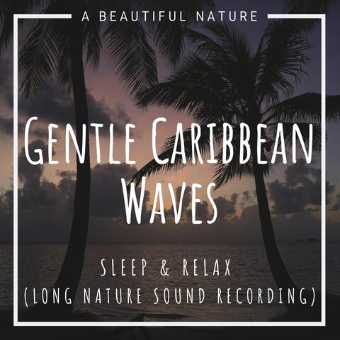 Gentle Caribbean Waves: Sleep & Relax (Long Nature Sound Recording)