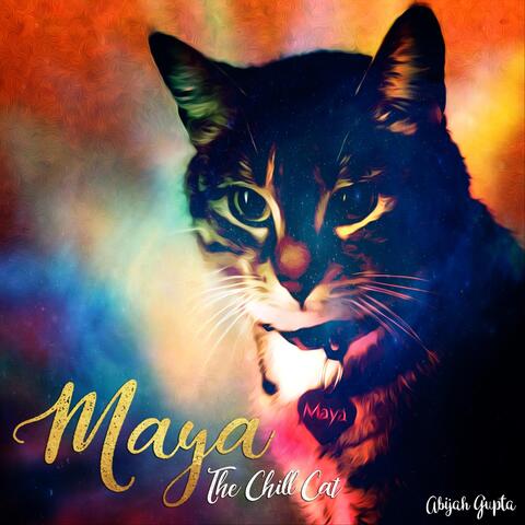 Maya (The Chill Cat)