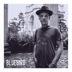 Bluebird