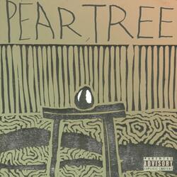 Pear, Tree
