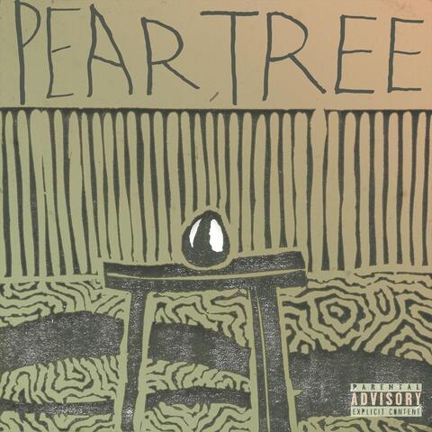 Pear, Tree