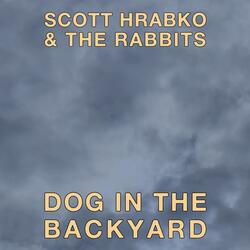 Dog in the Backyard