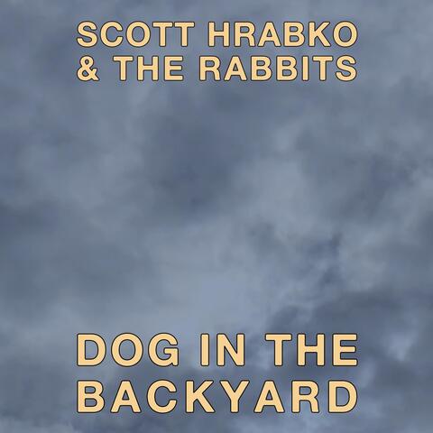 Dog in the Backyard