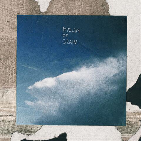 Fields of Grain
