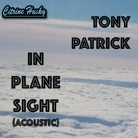 In Plane Sight (Acoustic)