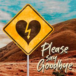 Please Say Goodbye
