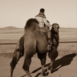 What Is Waiting for Me