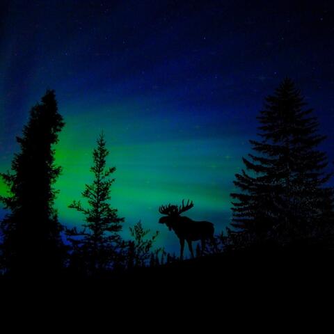 Lullabies for Little Ones