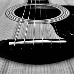Shattered in the Sound