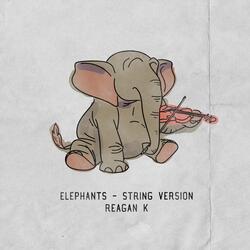 Elephants (String Version)