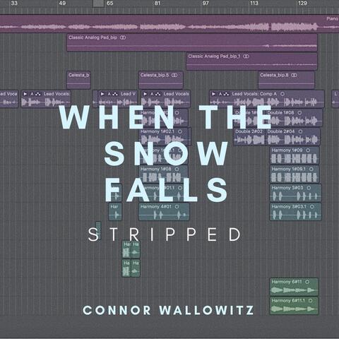When the Snow Falls (Stripped)