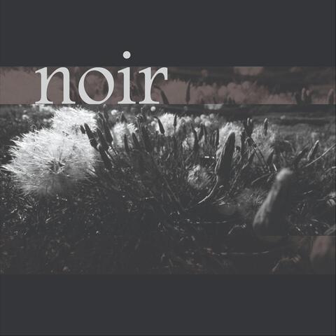 Noir