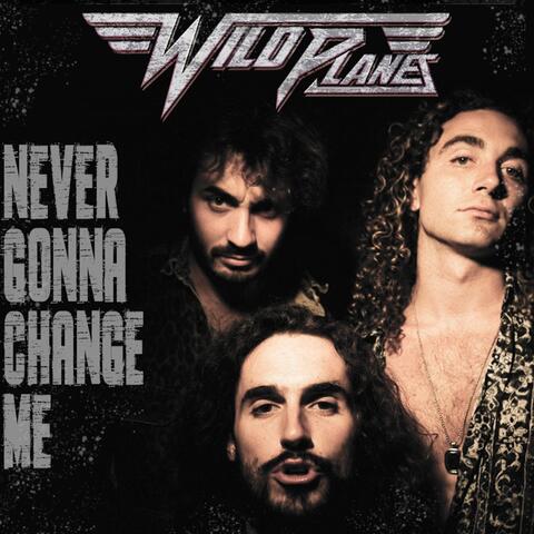 Never Gonna Change Me