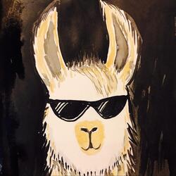The Llama Song
