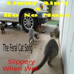 Fluffy Ain't a Ho No More the Feral Cat Song