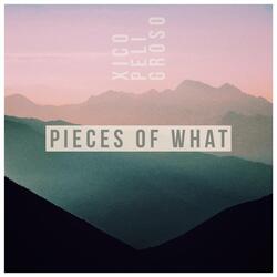 Pieces of What