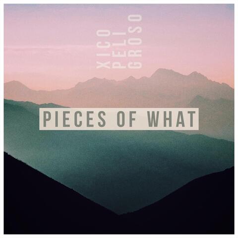 Pieces of What