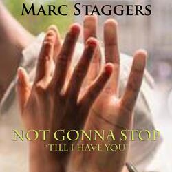 Not Gonna Stop (Till I Have You)