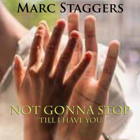 Not Gonna Stop (Till I Have You)