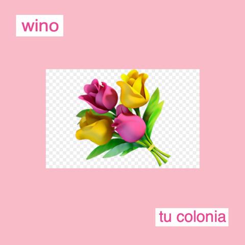Tu Colonia