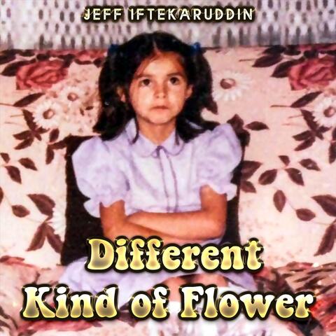 Different Kind of Flower