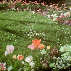 Spring