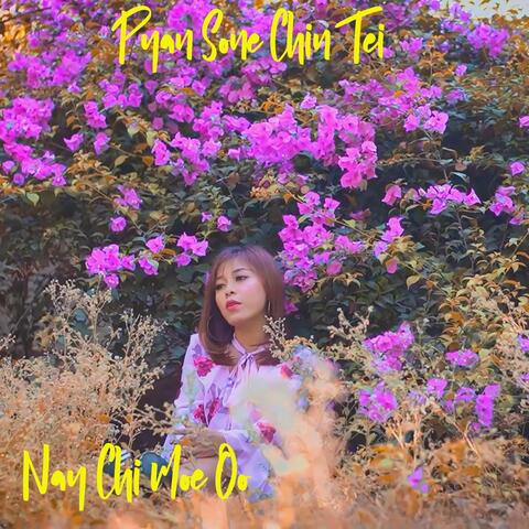 Pyan Sone Chin Tei