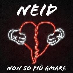 Non so più amare