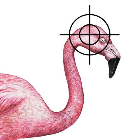 Dead Flamingo