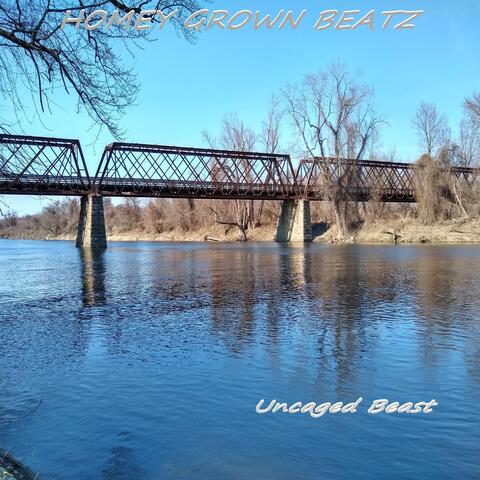 Homey Grown Beatz