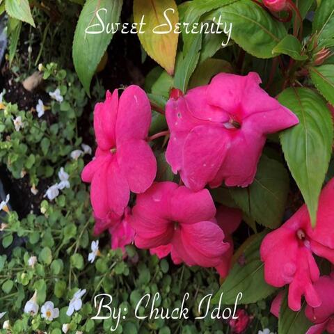 Sweet Serenity