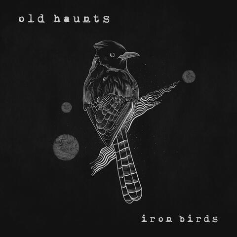 Iron Birds