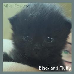 Black and Fluffy