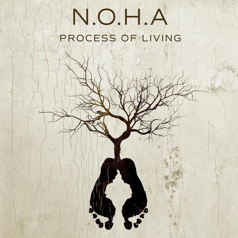 Process of Living