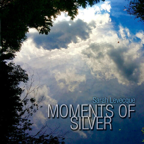 Moments of Silver