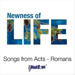 Written on Their Hearts (Romans 2:14-16)
