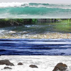 Pure Ocean