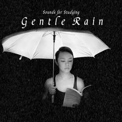 Sounds for Studying: Gentle Rain, Pt. 27