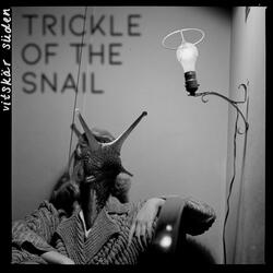 Trickle of the Snail