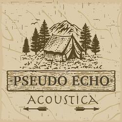 Don't Go (Acoustica)