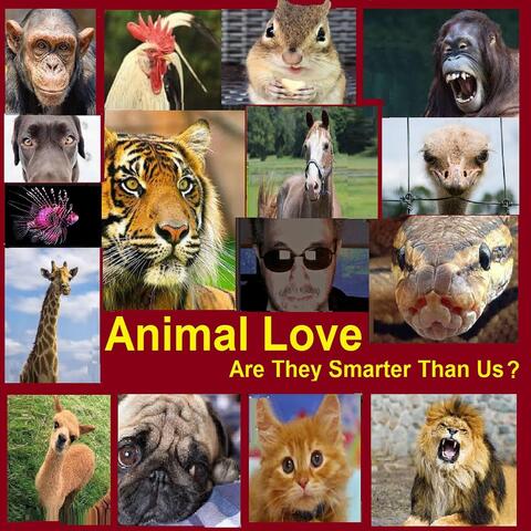 Animal Love: Are They Smarter Than Us?