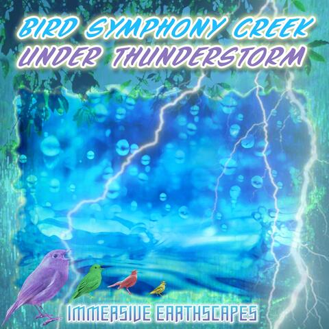 Bird Symphony Creek Under Thunderstorm