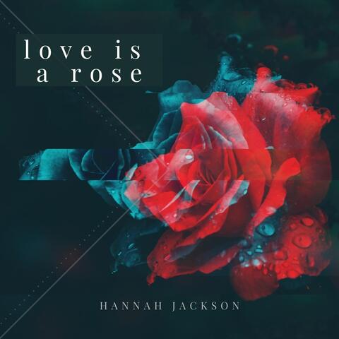Love Is a Rose