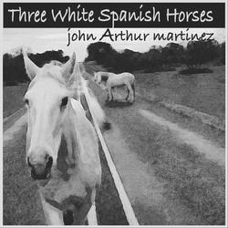 Three White Spanish Horses