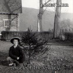 Angel of the Valley
