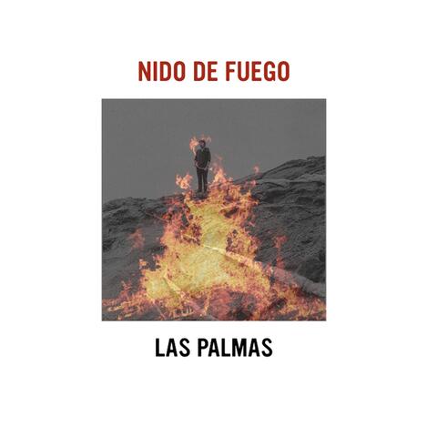 Nido de Fuego