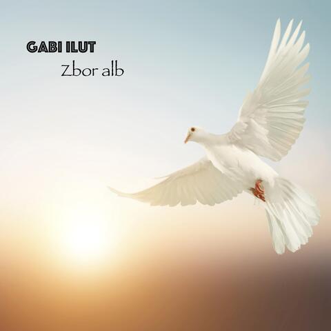 Zbor Alb
