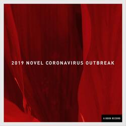 2019 Novel Coronavirus Outbreak